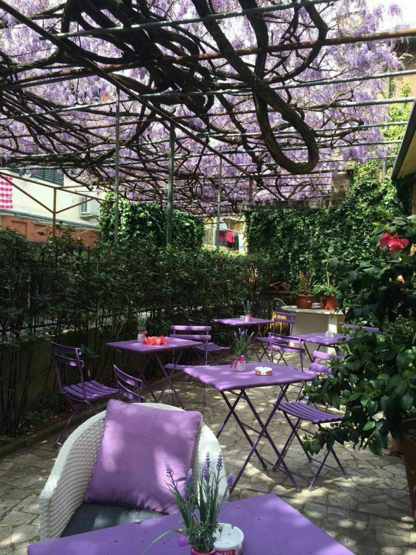 Hotel Stipino Lucca Exterior photo